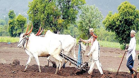 admission to agricultural courses