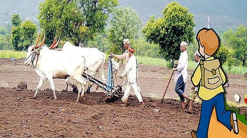 admission to agricultural courses