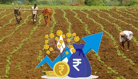 अनुदान वाटपात दिरंगाई