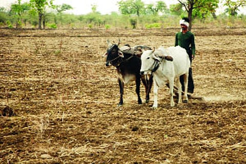 farmers in buldana.jpg