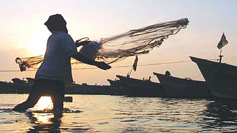use of persicinate fishing start from 1 january in ratnagiri fisherman tale decision