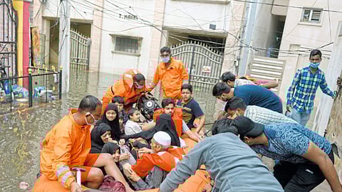 पर्यावरण : निसर्ग काय सांगू पाहतोय?