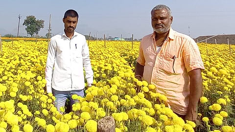 flower producers