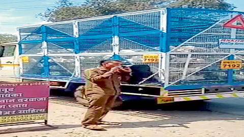 coronavirus impact on poultry industry kolhapur marathi news