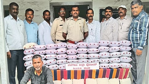 24 lakh cannabis seized near Mahishal; smuggler from Miraj arrested by karnataka police