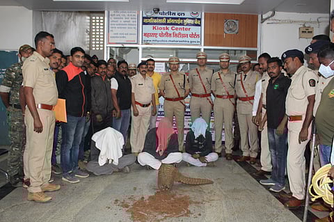 Three arrested for smuggling scaly cat crime news