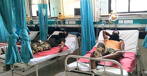 Five policemen were injured in the bear attack gadchiroli news