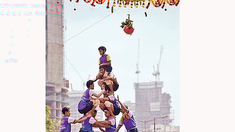 celebration of Krishna Janmashtami and Importance of govinda