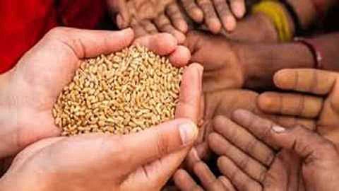 grain.jpg
