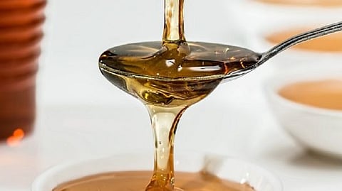 Appeal of District Village Industries Officers to submit applications for honey Kendra Yojana Nandurbar News