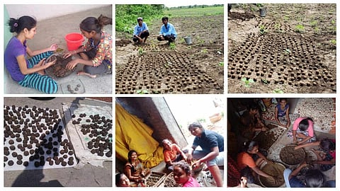 Students made seedballs at home for planting