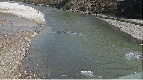 Proposal for Rameshgudam Small Scale Irrigation Scheme still pending in sironcha of gadchiroli