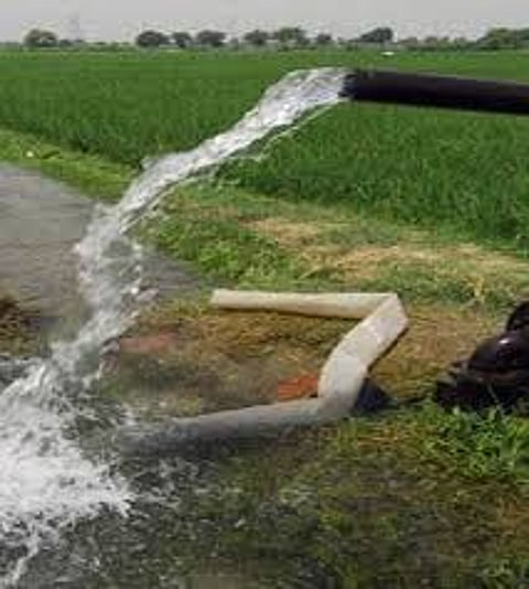 irrigation.jpg