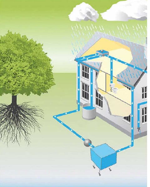 संग्रहीत छायाचित्र