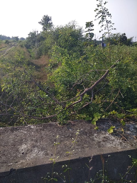 छायाचित्र