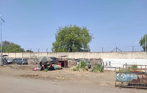 janavarncha chara.jpg