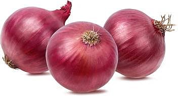 Onion shopping center to be started in Karjat-Jamkhed in four days