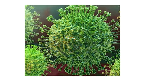 Corona virus  arrives in Bangalore marathi news