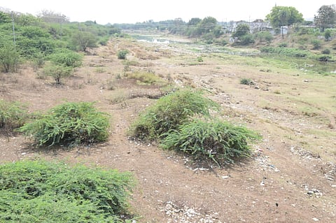 हिंगोली : कयाधुचे पात्र आटले, जनावरांच्या पाण्याच्या प्रश्नासह सिंचनाचा प्रश्न गंभीर