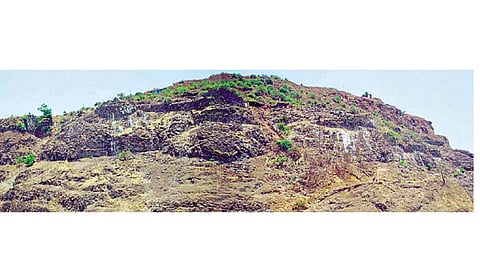 Fortresses Drunk For Punishment Kolhapur Marathi News