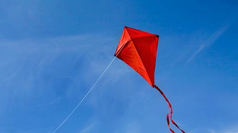 kite