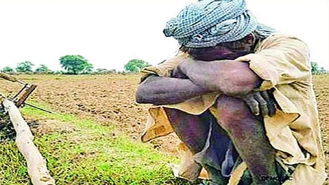 शेतकरी अडचणीत