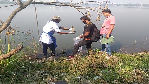 Dead birds found in Rankala lake kolhapur