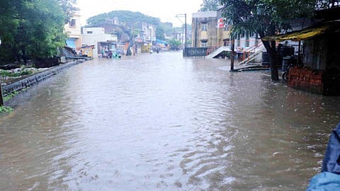 सांगलीतील पूर राेखण्यासाठी 'या' उपाययाेजना शक्य; मंत्री शंभूराज यांच्या आराेपानंतर वडनेरेंचा खूलासा
