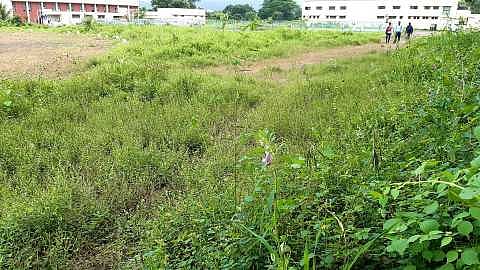 Akola News: Sports complex disappears, if you want to play, go to the field!