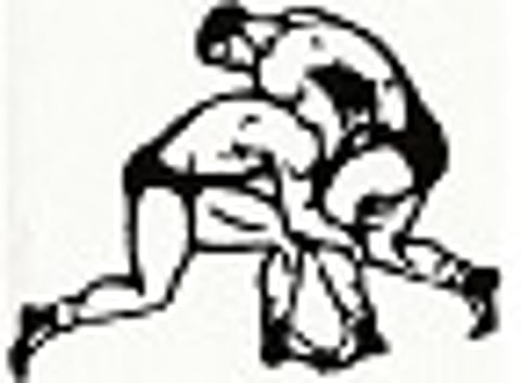 Shaking hands with respect to wrestlers