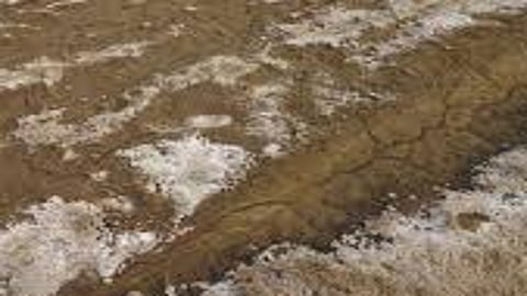 70 acres land saline soil in ratnagiri farmers face problem in ratnagiri
