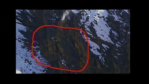snow leopard fall mountain happens rare footage video viral