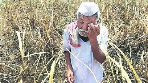 message came to loan waiver but name not display in list