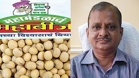 महाबीजचे सोयाबीन बियाणे बाजारात नाहीच...त्यावर कृषी विभागाने दिला हा सल्ला