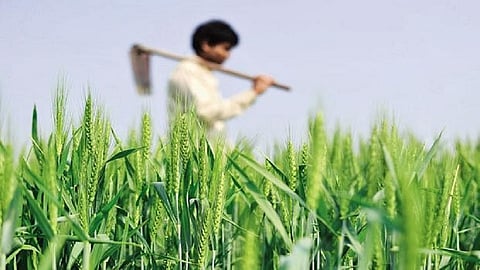 तारे नसलेल्या रिकाम्या जागा