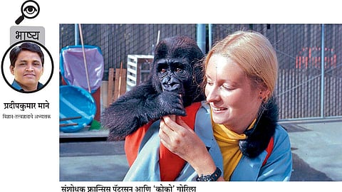 pradipkumar mane write article in editorial