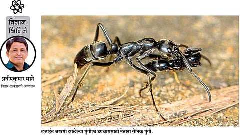 pradipkumar mane write article in editorial