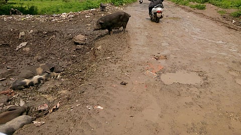 mhatoba-nagar.jpg