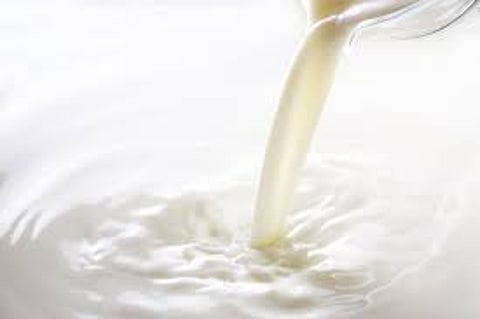 milk.