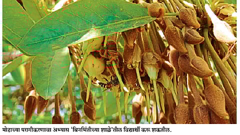 आम आदमी ग्यान बतावे...
