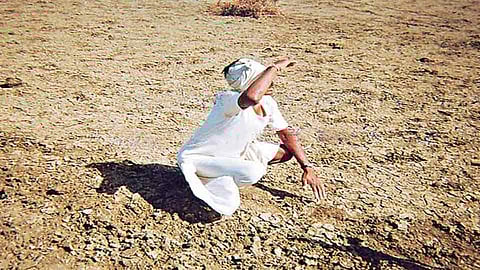 Sowing crisis due to monsoon delay