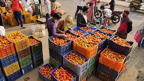 मोशी मार्केट : कांदा, बटाटा वगळता फळभाज्यांचे भाव स्थिर