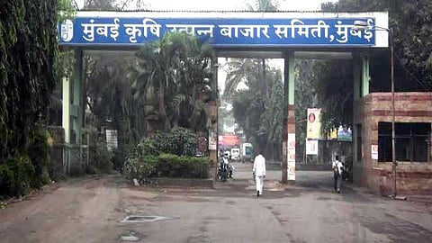 मुंबई बाजार समितीच्या सभापतीपदासाठी राष्ट्रवादीसह कॉंग्रेसची फिल्डिंग