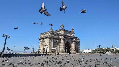 मुंबईच्या आरोग्यासाठी BMC उचलणार महत्त्वाचं पाऊल; सुरु होणार 'काळाची गरज' असणारा महत्त्वाचा विभाग