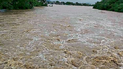 राज्यात सर्वदूर पाऊस