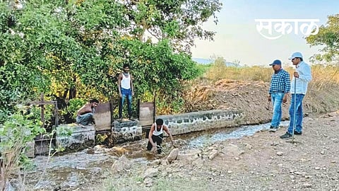 Satara Latest Marathi News