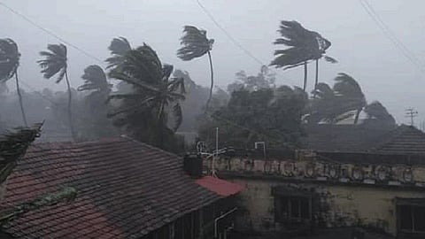 nisarga cyclone suffer people survey completed but the exact registration not done properly and people demand this in ratnagiri