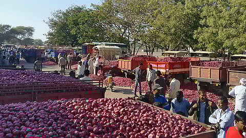 Ahmednagar News | Onion News