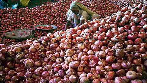 onion price 3.jpg