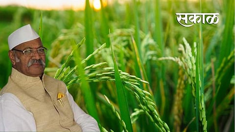 Satara Latest Marathi News, Satara News